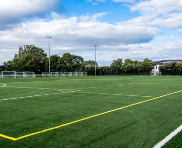 Picture of 3G Pitch