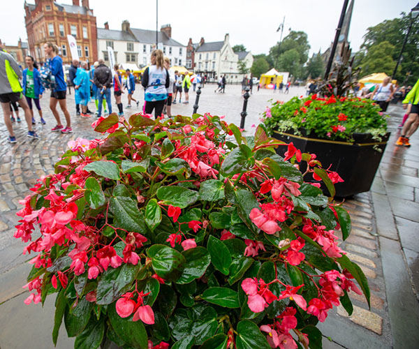 Red flowers in a planter in the market square