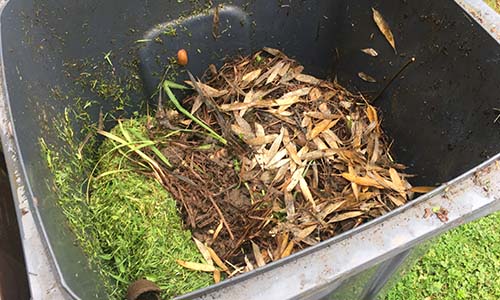 A pile of grass and plant cuttings in a garden waste bin
