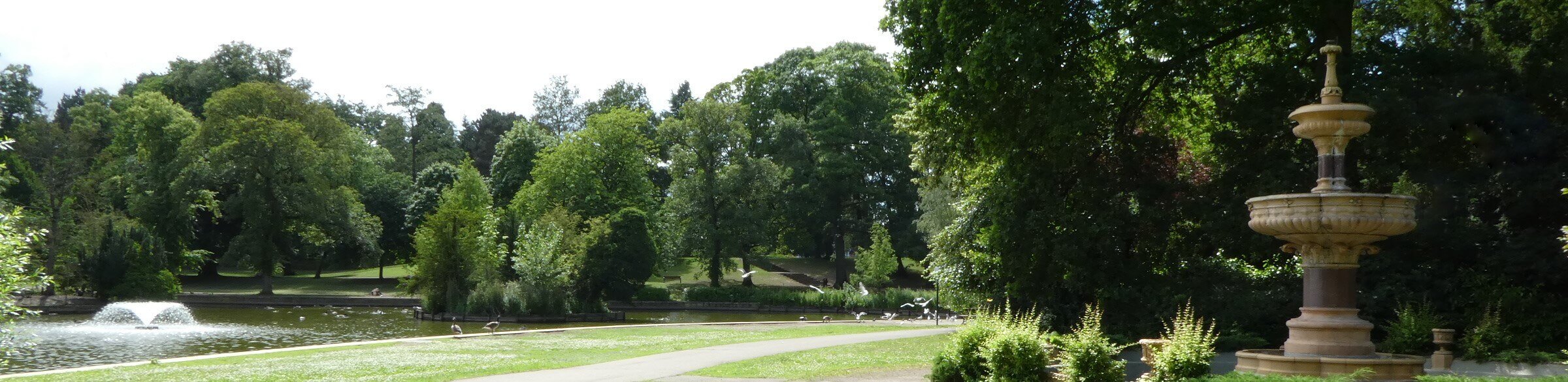 The pond surround by trees in South Park