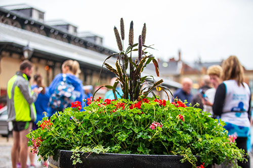 One of the planters in the town centre filled with flowers in bloom
