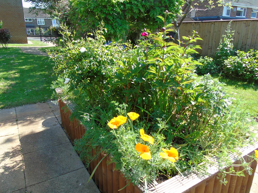 a planter at Linden Court