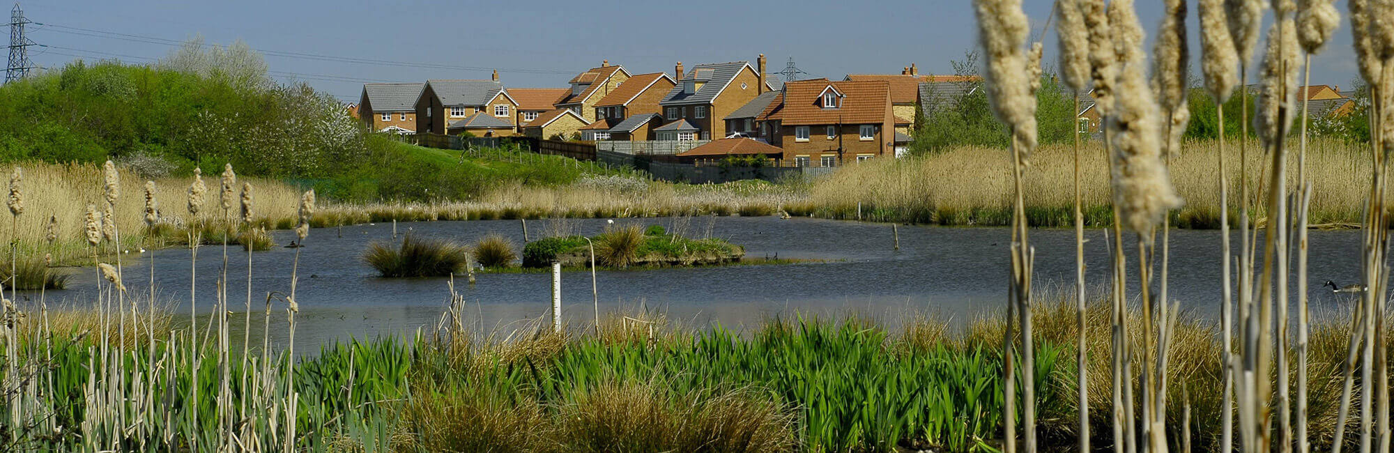 Drinkfield Marsh