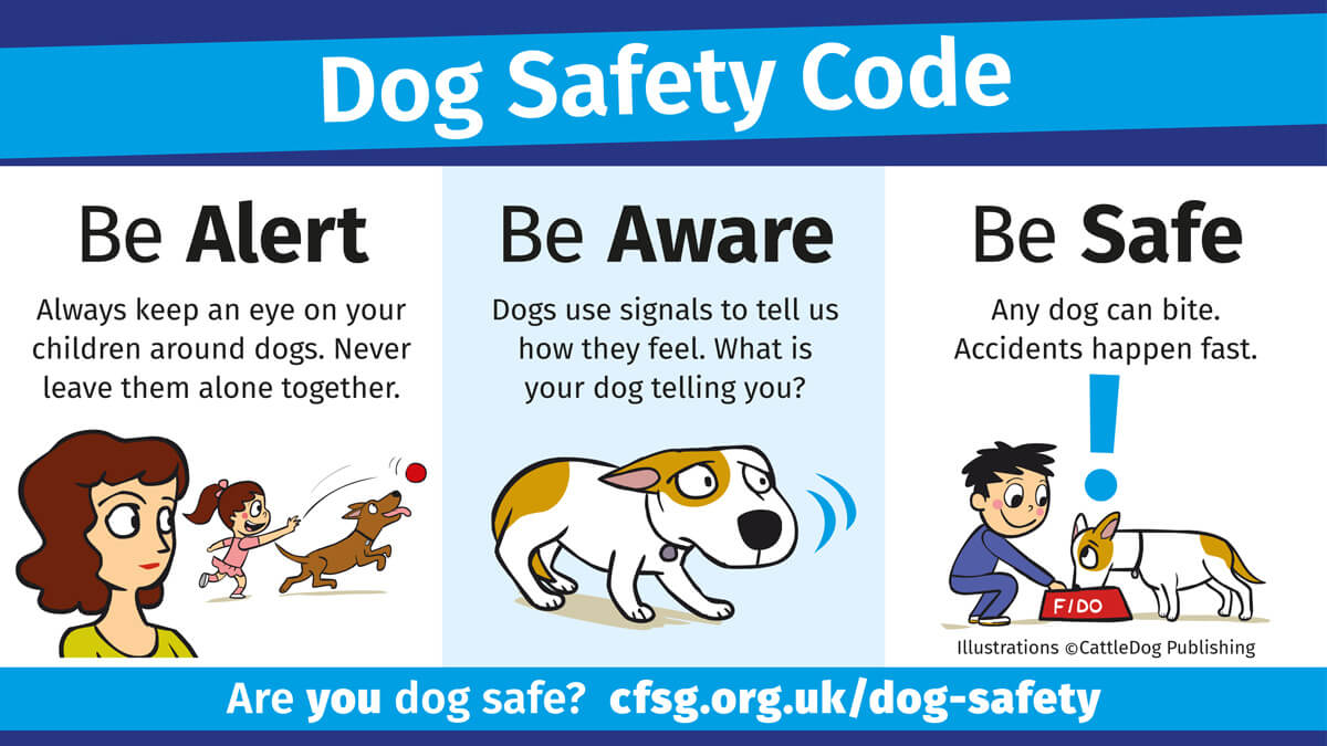 The dog safety code. Written content of this image is on this webpage