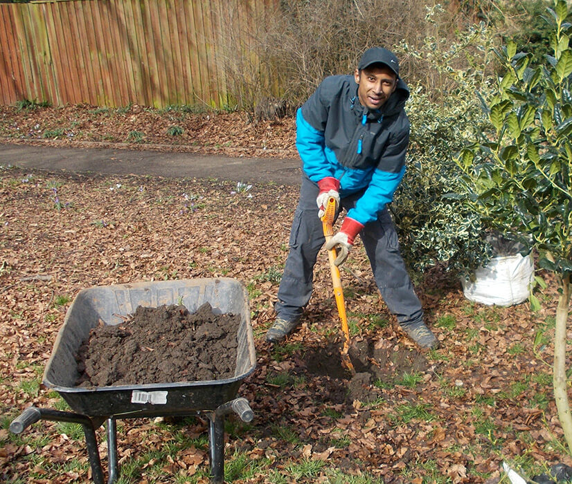 A volunteer fills a wheelbarrow