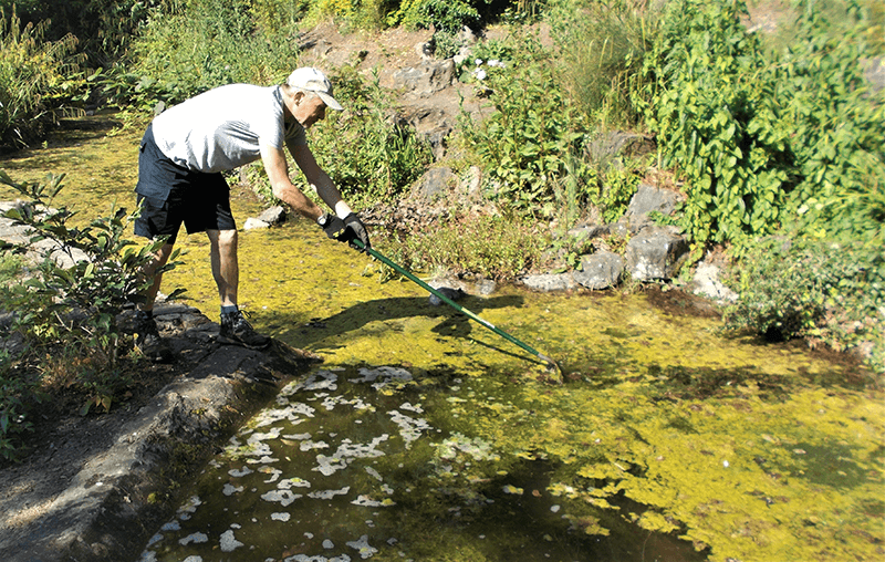 A volunteer helps to clean a stream