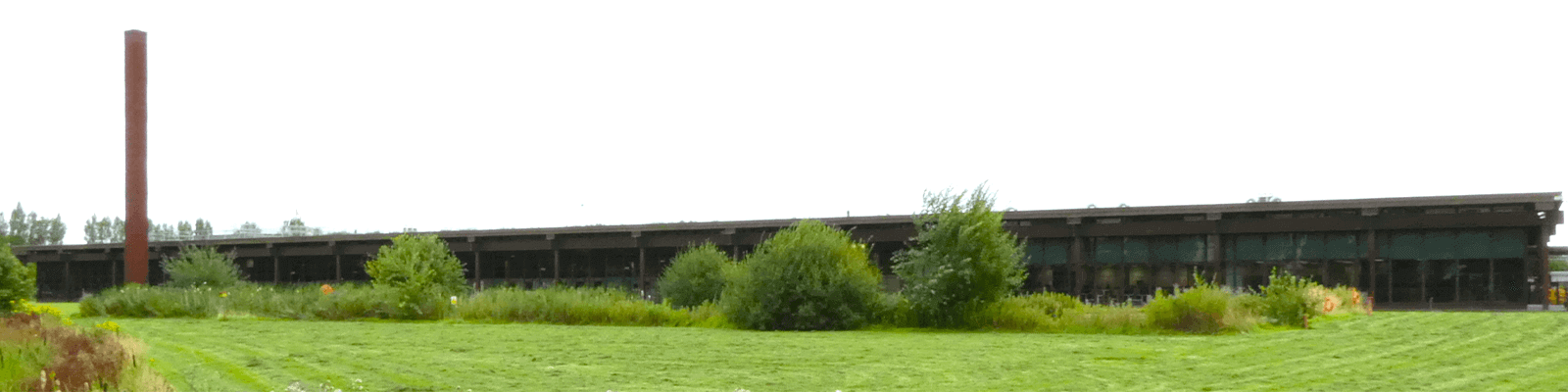 A field in front of Cummins office block