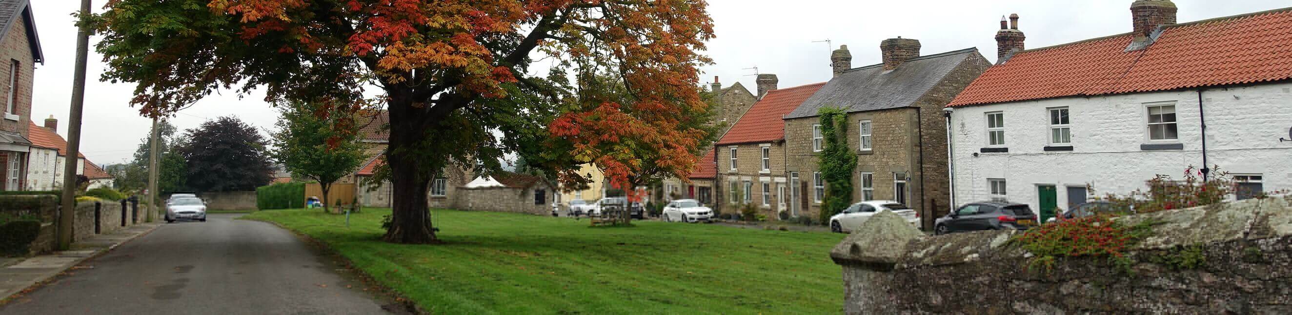 A row of houses behind a green with a large tree