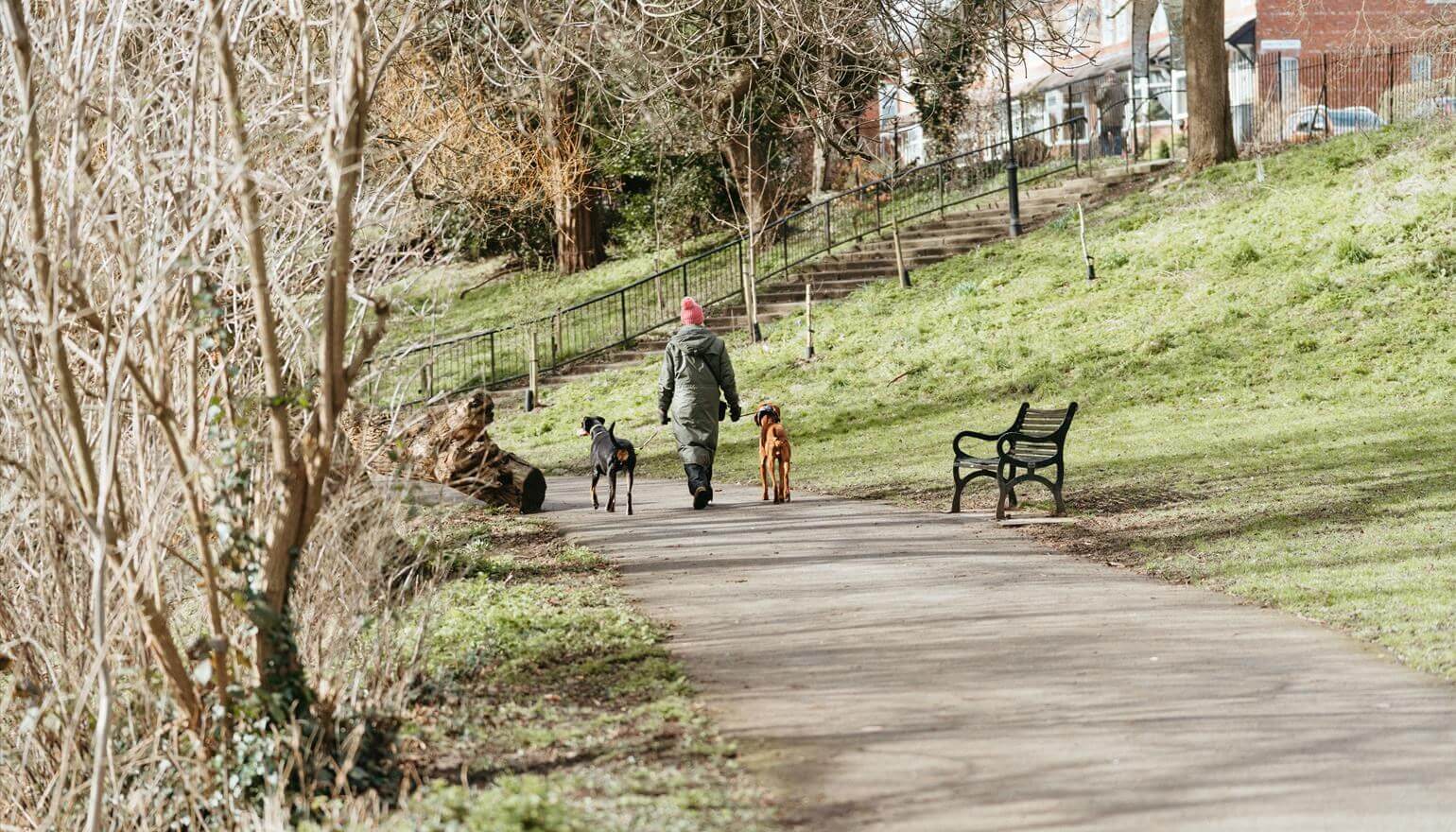 picture for Renewal of dog controls