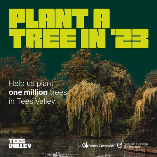 Image of Trees on Tees advert