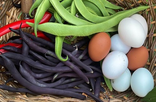 Image of home grown beans and eggs