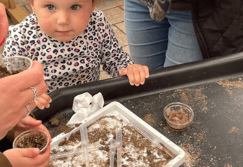 Little girl planting seeds