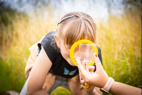 Girl looking at insects