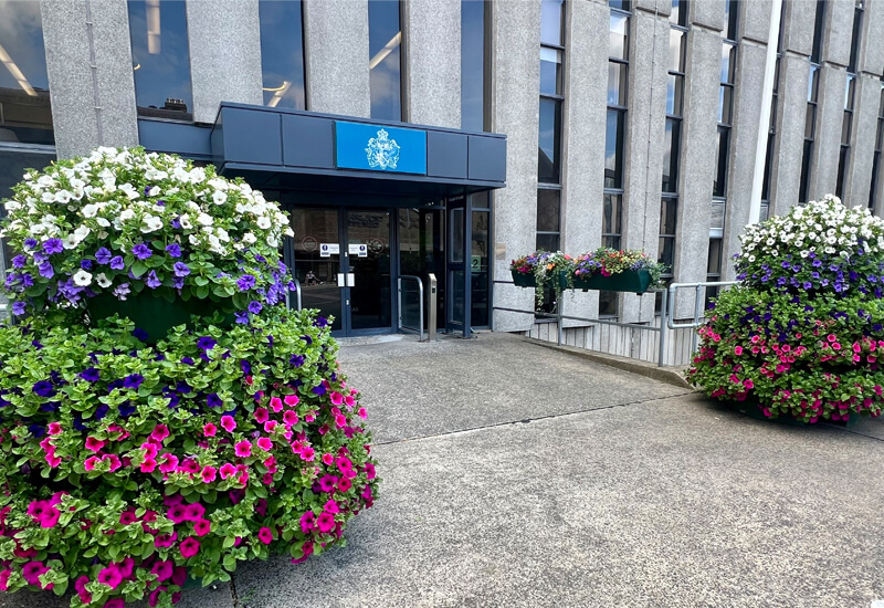 Sliding doors entrance to building with large flower planters each side