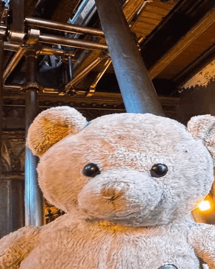 May Steaming & Teddy Bears Picnic 