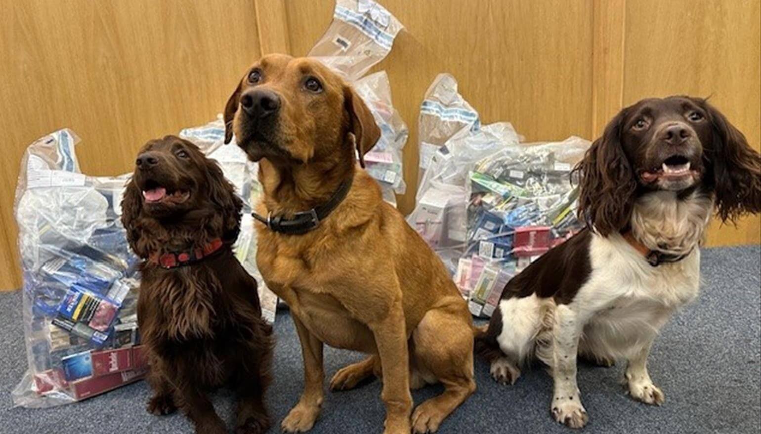Thousands of Illegal cigarettes seized