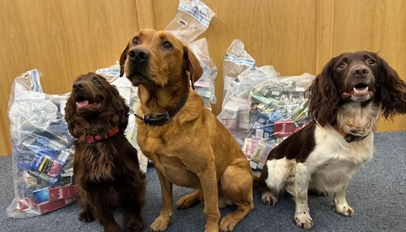 Thousands of Illegal cigarettes seized