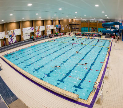Dolphin centre pool